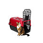 Transportadora Gatos